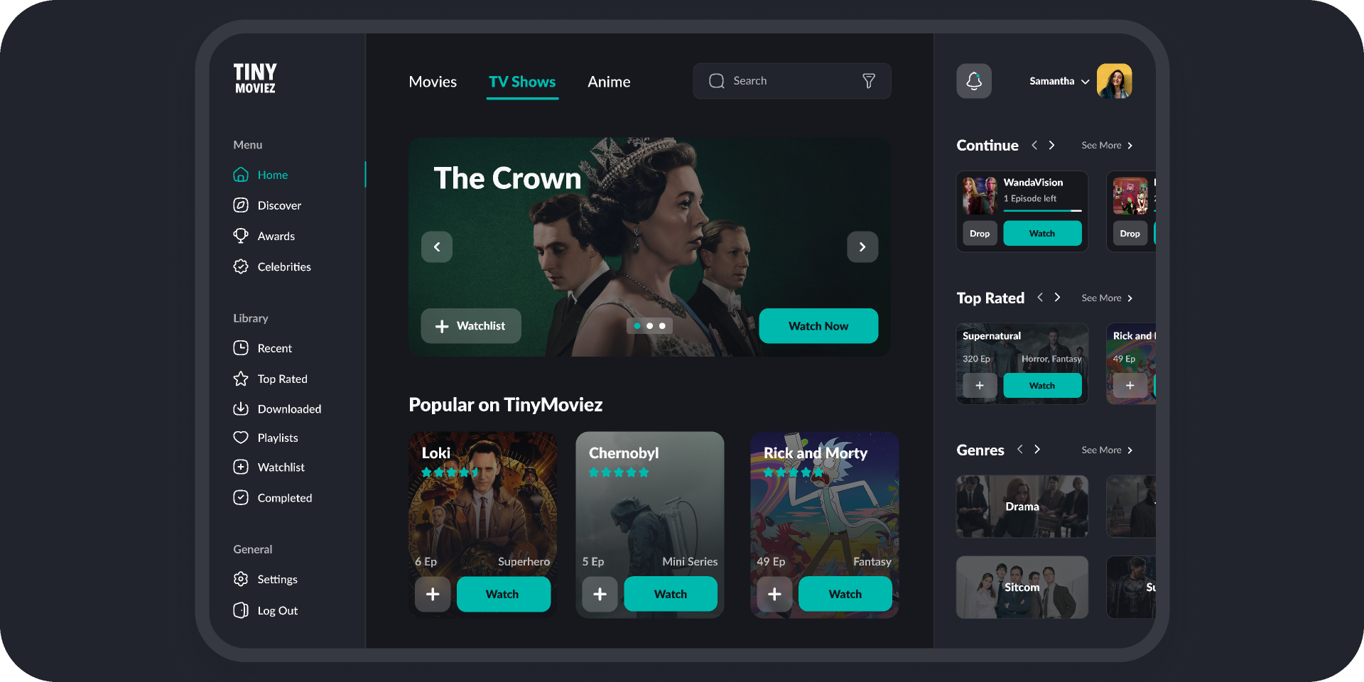 Flixrave Streaming Interface